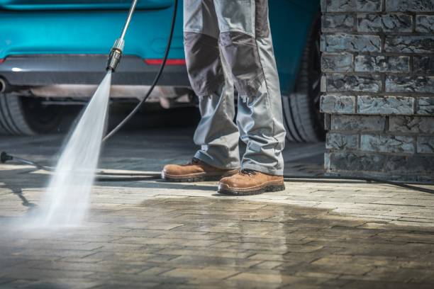 Best Dumpster Area Cleaning  in Sackets Harbor, NY